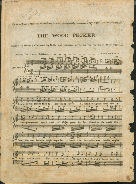 The Wood Pecker