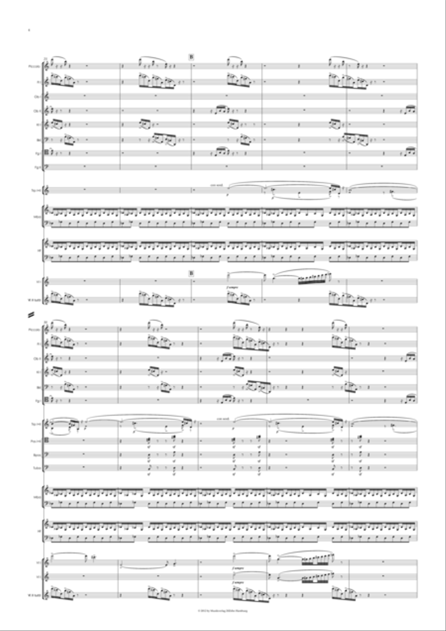 Sturm Stoff Traeume Full Orchestra scores gallery preview page 6