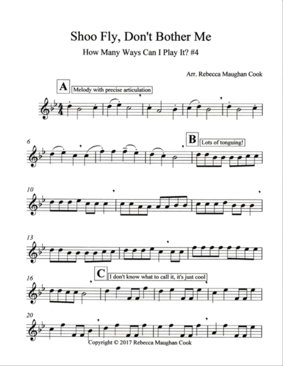 How Many Ways Can I Play It? #4 Shoo Fly, Don't Bother Me Flute Solo scores gallery preview page 3