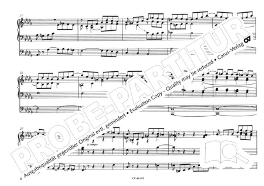 Free Organ Music from the Romantic Period, Vol. I (Freie Orgelmusik der Romantik, Band I) Organ scores gallery preview page 89