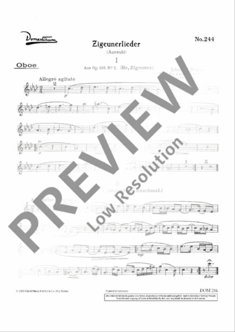 Zigeunerlieder Orchestra scores gallery preview page 19