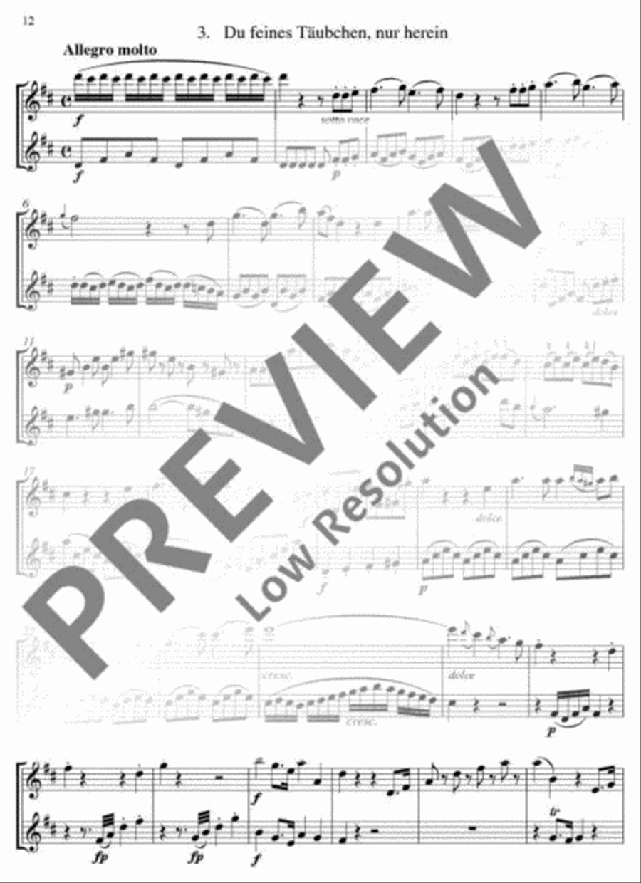 The Magic Flute Flute Duet scores gallery preview page 13