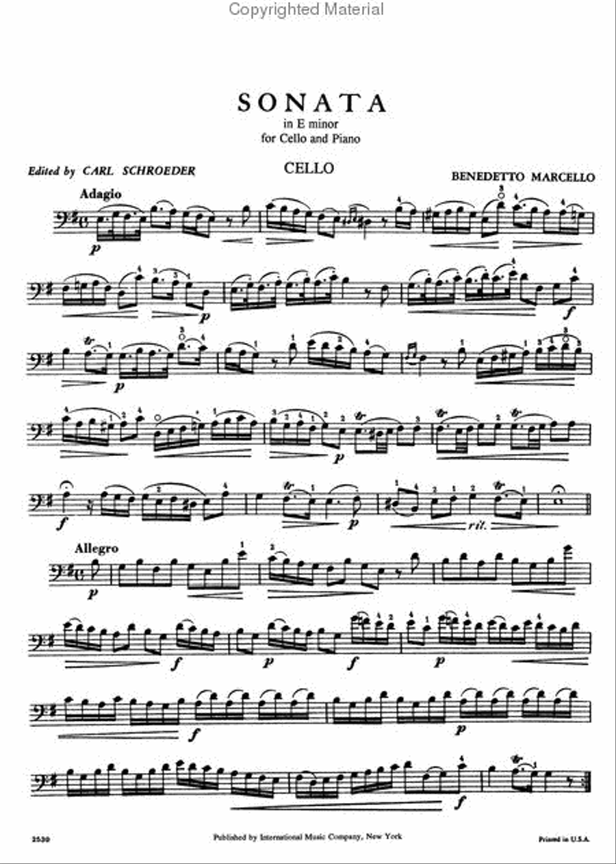 Sonata In E Minor Piano Accompaniment scores gallery preview page 2