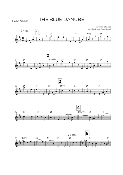 THE BLUE DANUBE - JOHANN STRAUSS – LEAD SHEET image number null