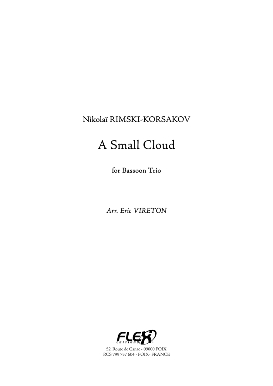 A Small Cloud Woodwind Trio scores gallery preview page 1