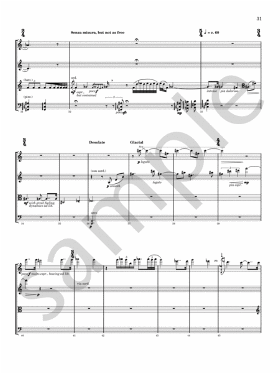 Glitter, Doom, Shards, Memory Chamber Music scores gallery preview page 20