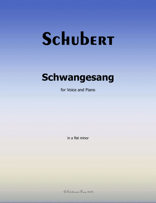 Book cover for Schwangesang, by Schubert, in a flat minor