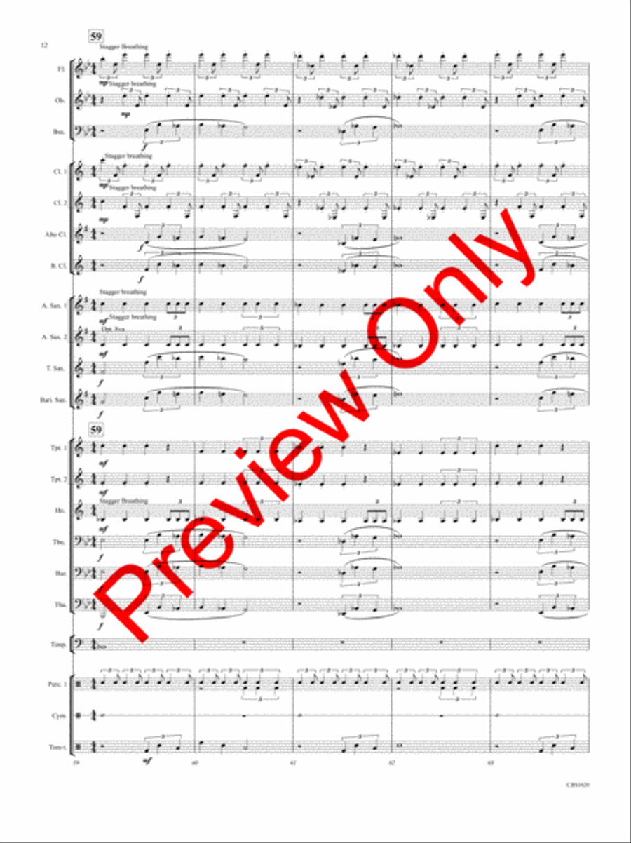 SPQR (Senatus Populusque Romanus ) Concert Band scores gallery preview page 13