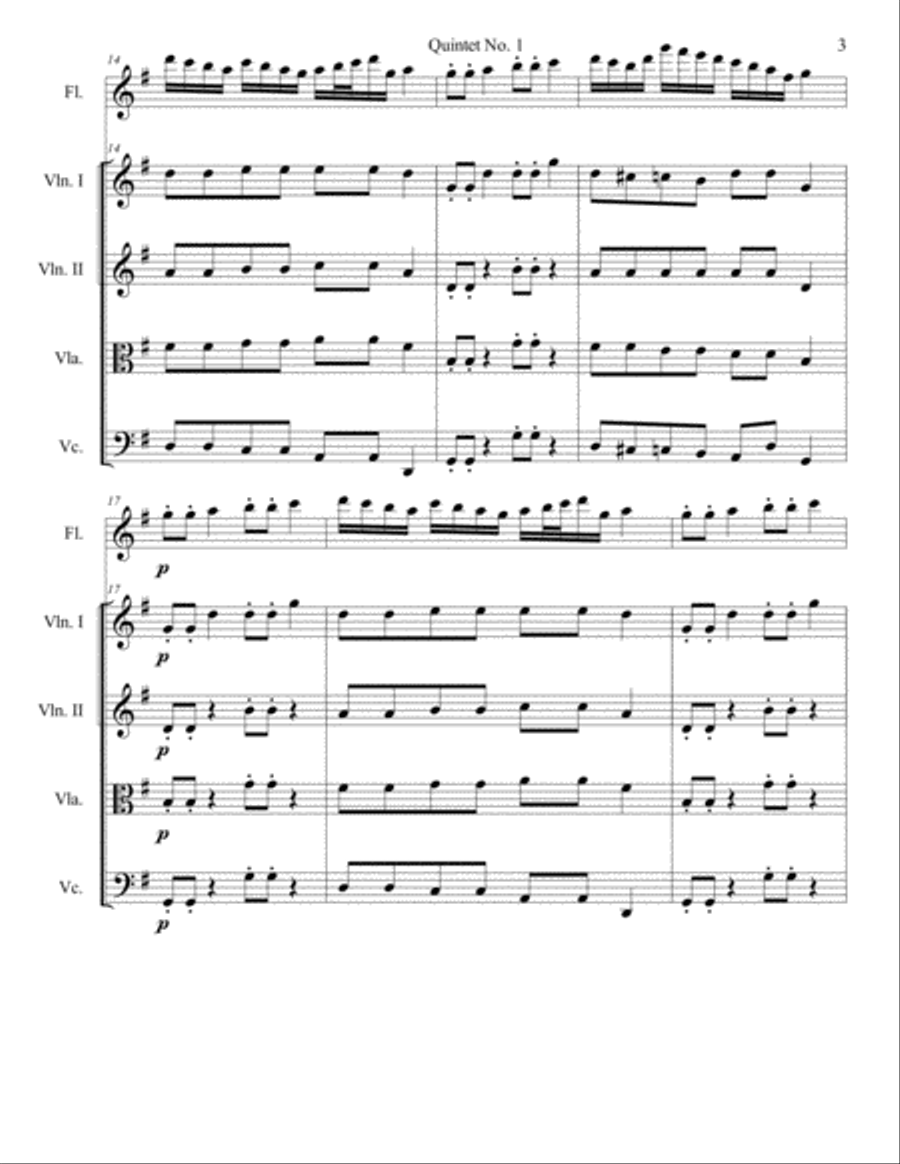 Quintet No. 1 for Flute and Strings Chamber Orchestra scores gallery preview page 4