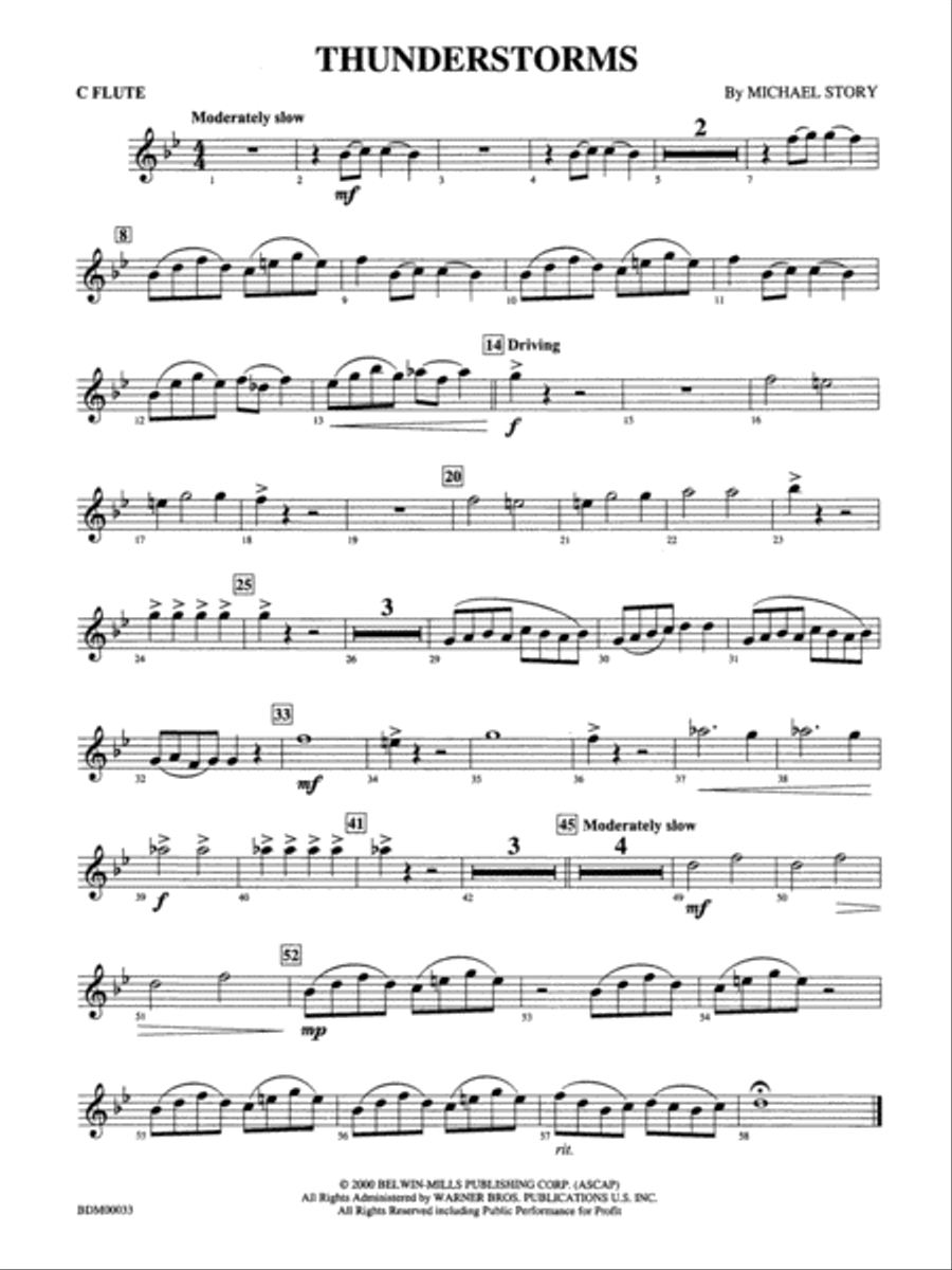 Thunderstorms: Flute Concert Band scores gallery preview page 1