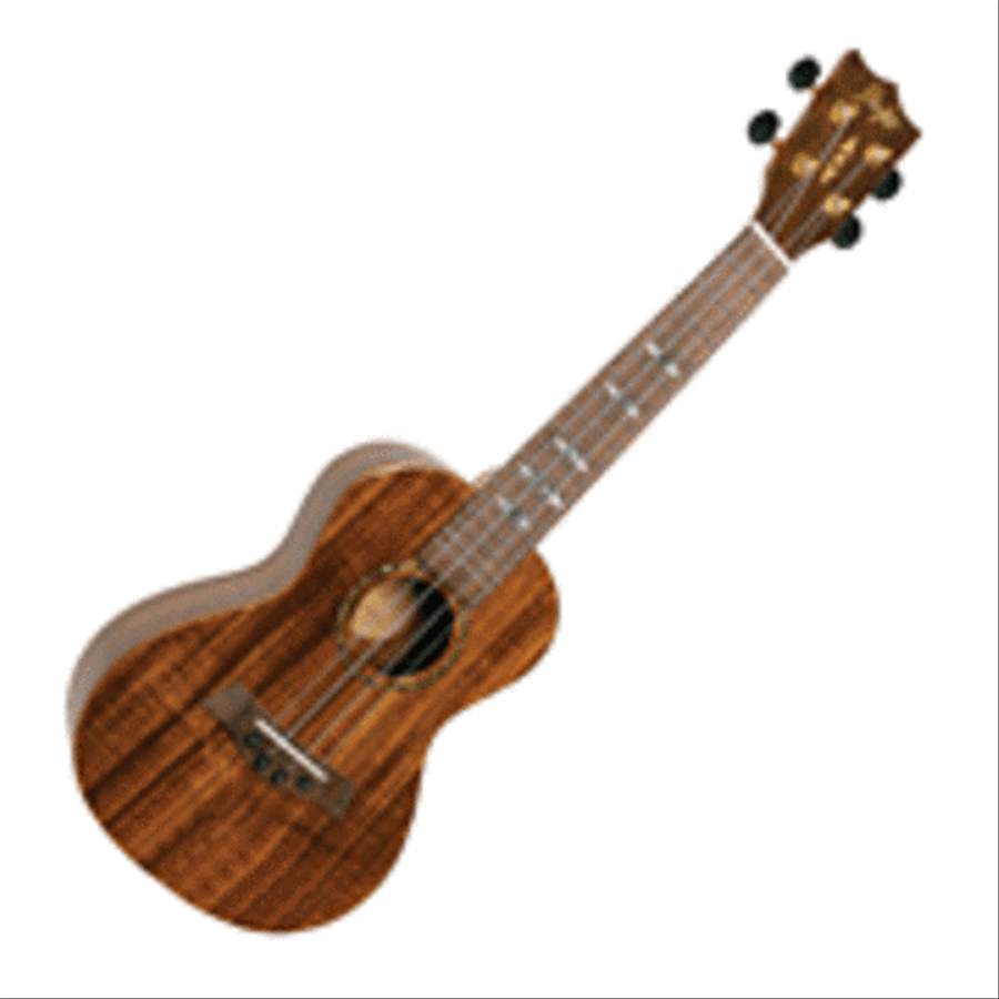 Glossy Acacia Concert Ukulele