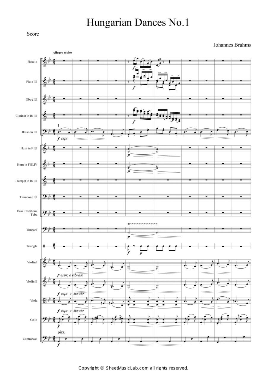 Hungarian Dances No.1 in G minor, Allegro molto Full Orchestra scores gallery preview page 1