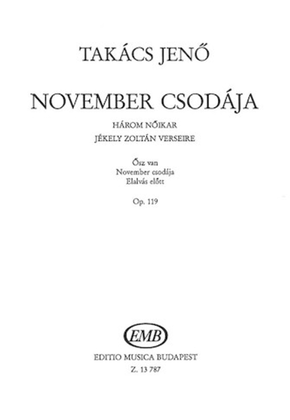 November CsodAja