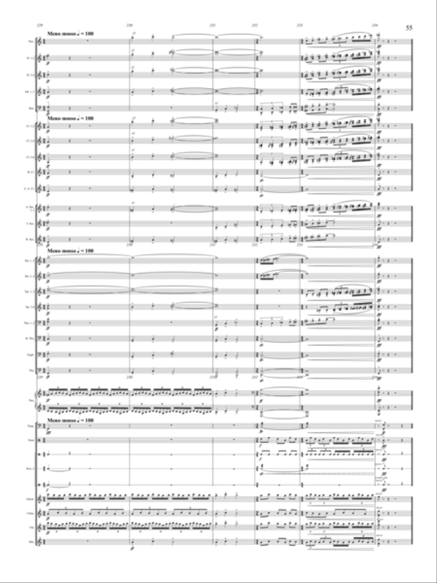 Windrider Concert Band - Sheet Music page 56