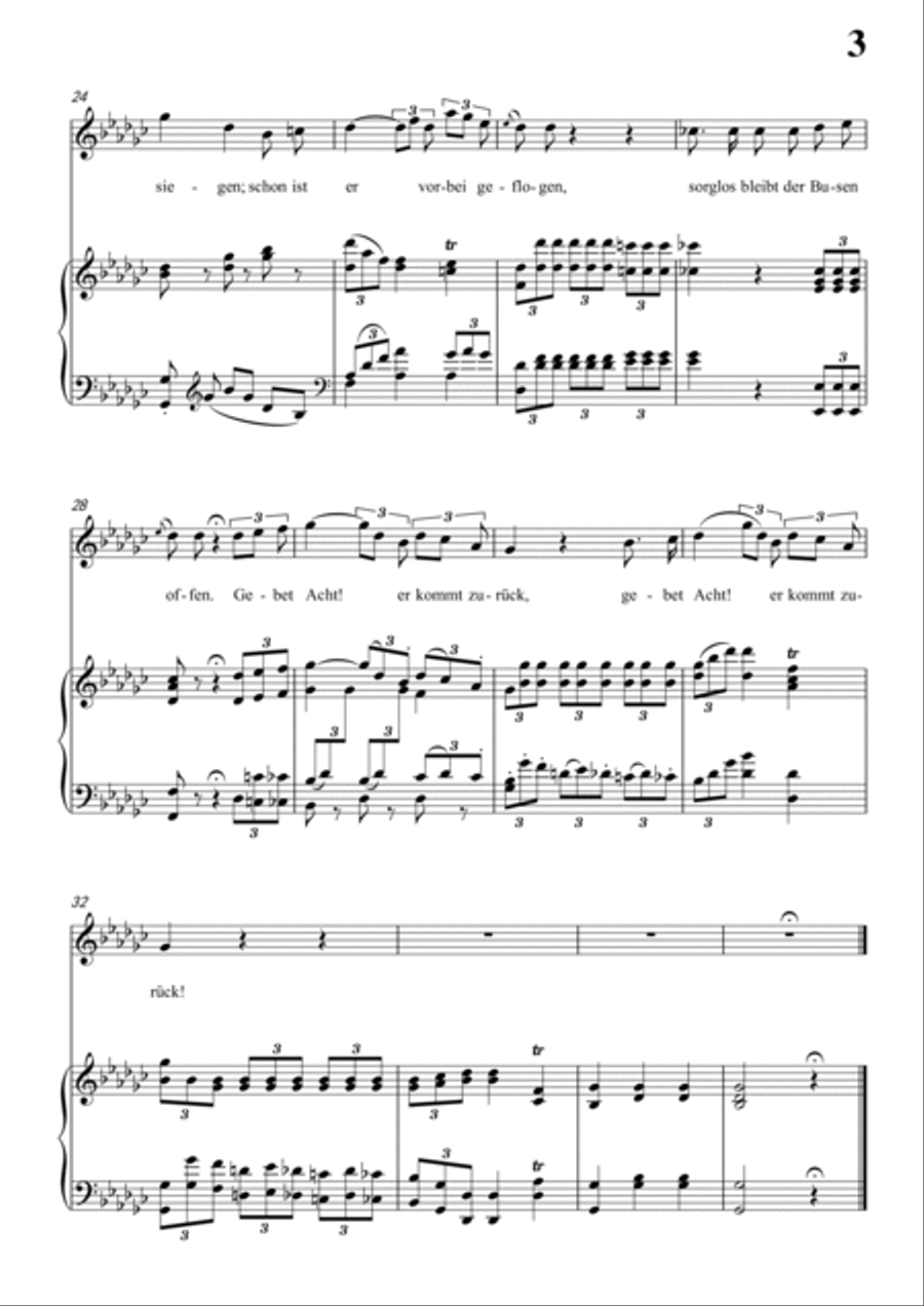 Schubert-Hinund wieder fliegen Pfeile in bG for Vocal and Piano Voice scores gallery preview page 4