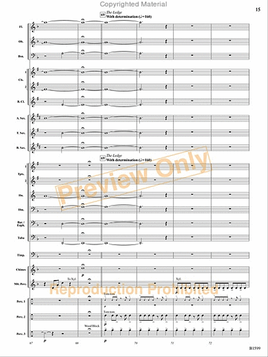 Terminal Velocity Concert Band scores gallery preview page 16