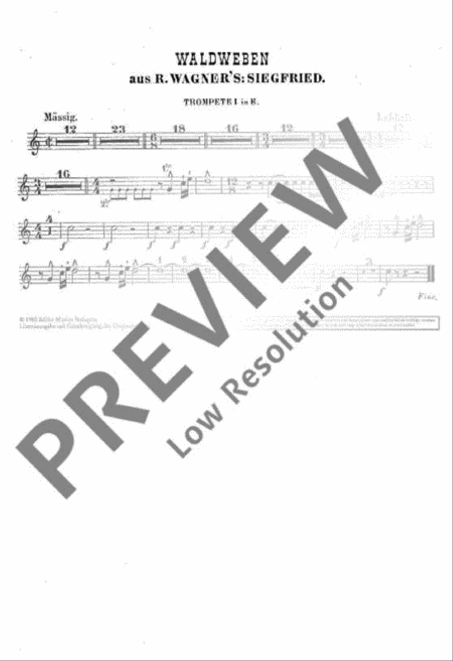 Siegfried Orchestra scores gallery preview page 18