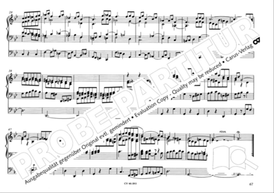 Free Organ Music from the Romantic Period, Vol. I (Freie Orgelmusik der Romantik, Band I) Organ scores gallery preview page 72