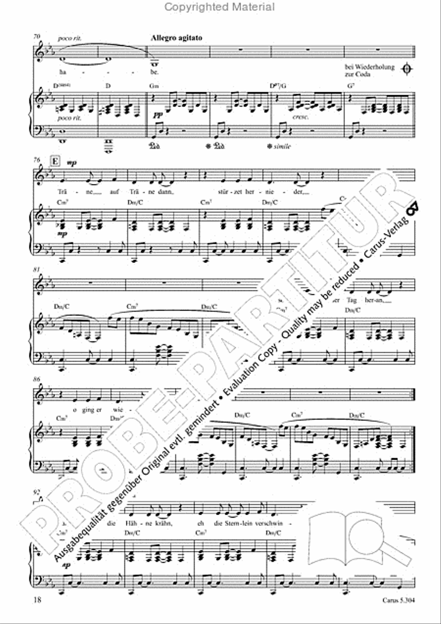 Schindler: Rosenzeit. Ein Liederzyklus uber die Liebe. Chansons fur Singstimme und Klavier Piano scores gallery preview page 19