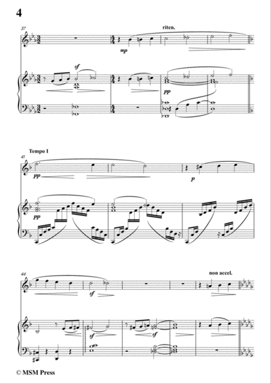 Mahler-Nun seh' ich wohl,warum so dunkle Flammen(Kindertotenlieder Nr. 2) , for Violin and Piano Violin Solo scores gallery preview page 6