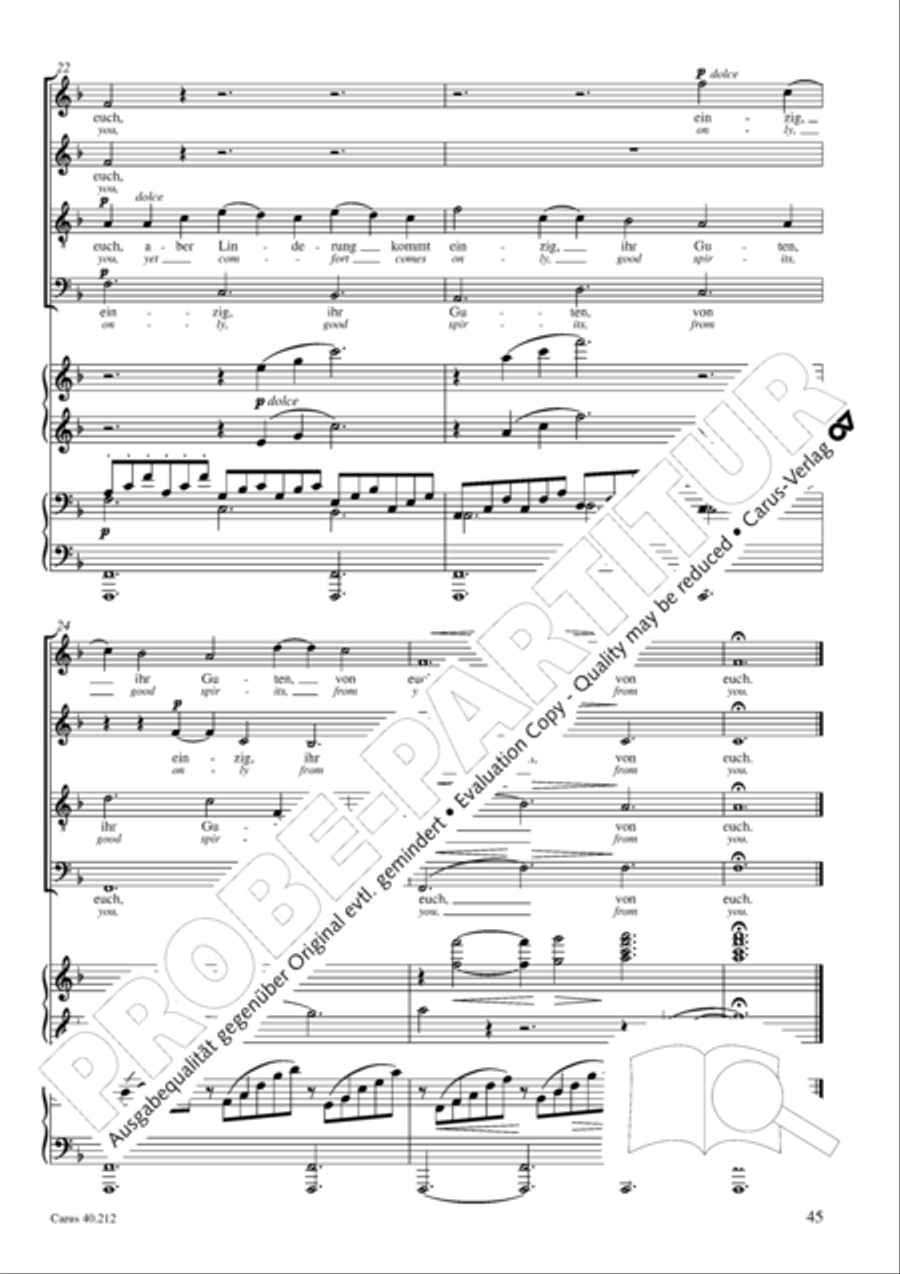Neue Liebeslieder-Walzer, Op. 65 Choir scores gallery preview page 46