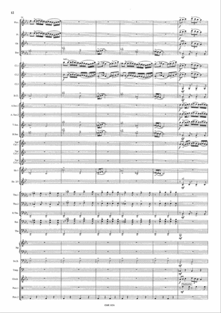 Polovtsian Dances Concert Band scores gallery preview page 13