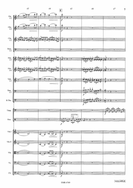 Violin Concerto No. 2 image number null