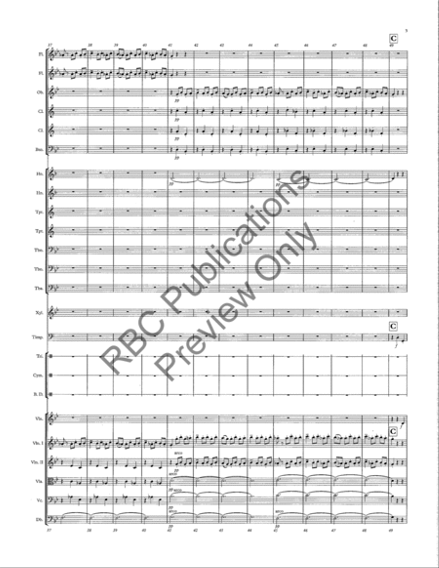 Danse Macabre Danse Macabre Full Orchestra scores gallery preview page 6