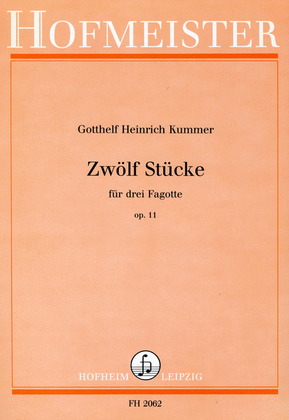 Book cover for 12 Stucke, op. 11