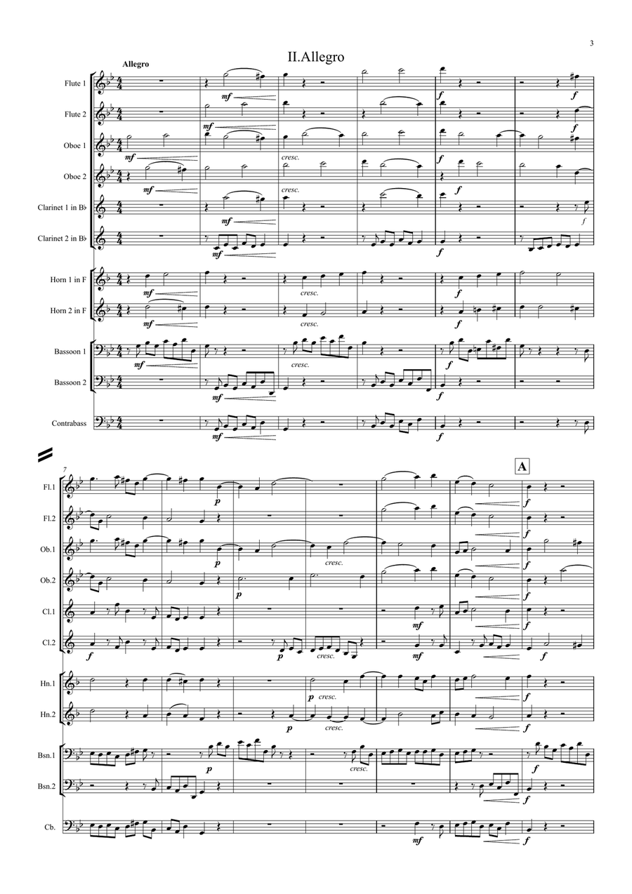 Corelli: Concerto Grosso Op.6 No.8 (Christmas Concerto) (Complete) - symphonic wind Large Ensemble scores gallery preview page 3