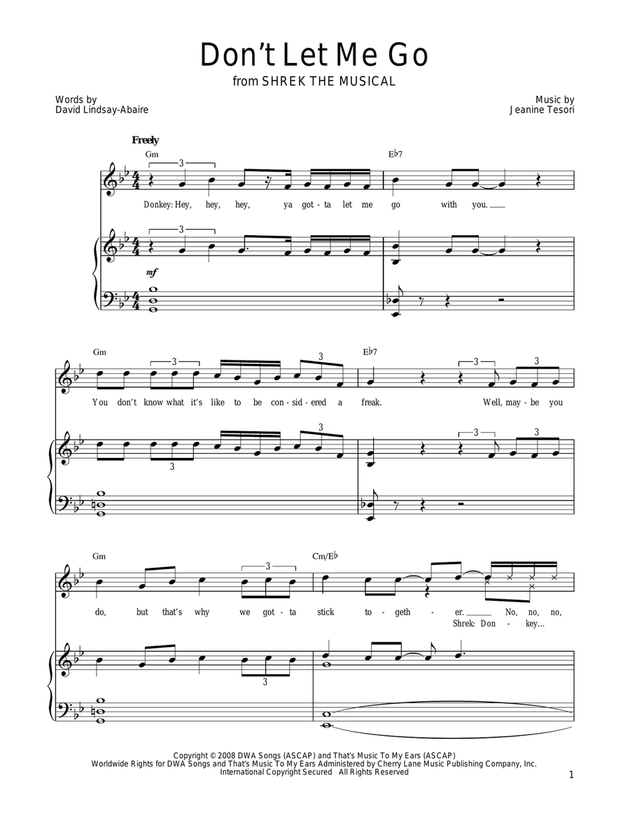 Don't Let Me Go Piano, Vocal, Guitar scores gallery preview page 1