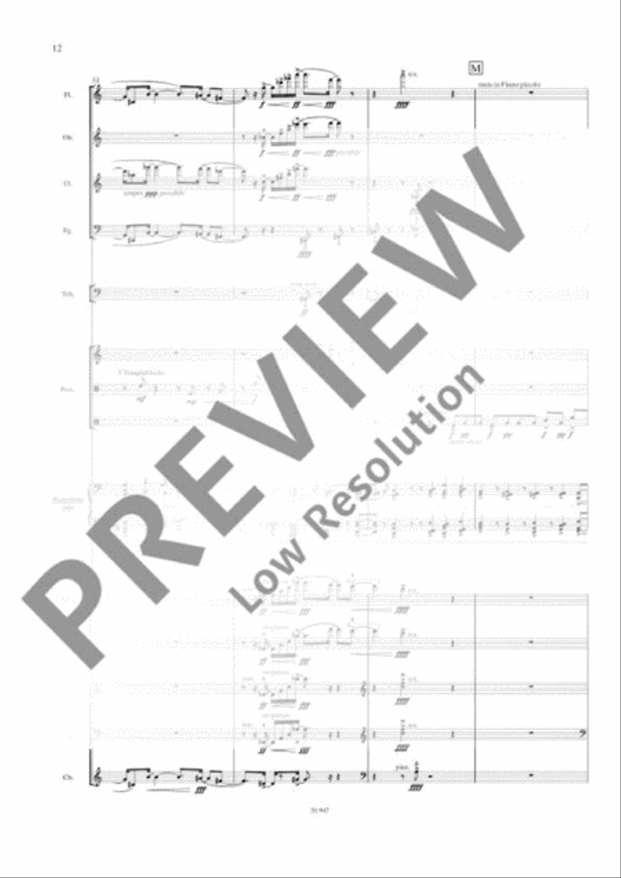 Concerto Orchestra scores gallery preview page 21