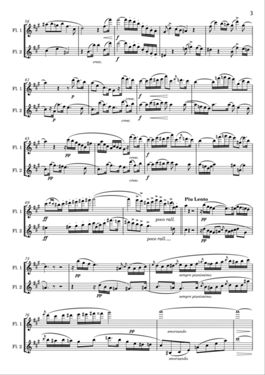 Franz Doppler - Andante et Rondo, Op.25 - For 2 Flutes Original Flute Duet scores gallery preview page 3