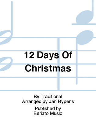 Book cover for 12 Days Of Christmas