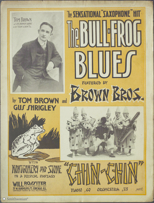 Book cover for The Bull-Frog Blues