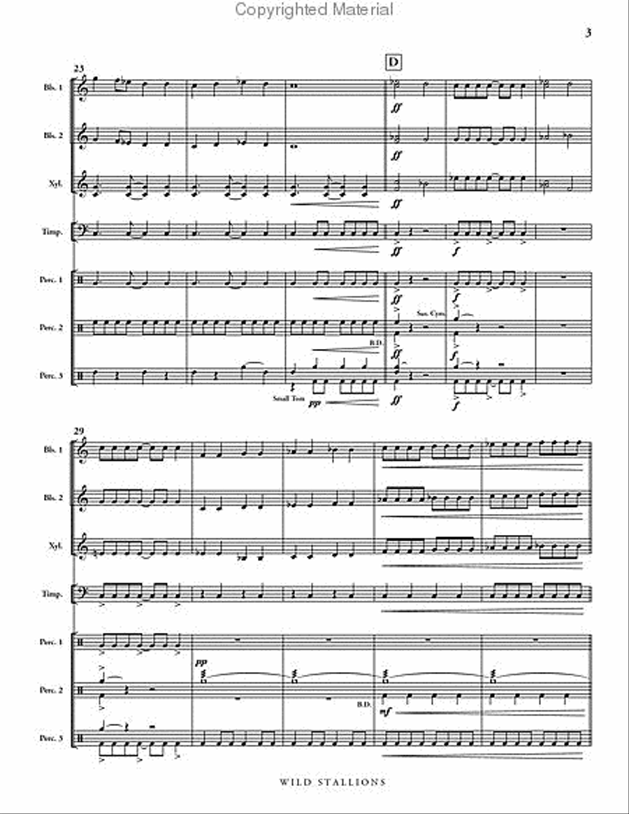 Wild Stallions Wild Stallions Percussion Ensemble scores gallery preview page 4