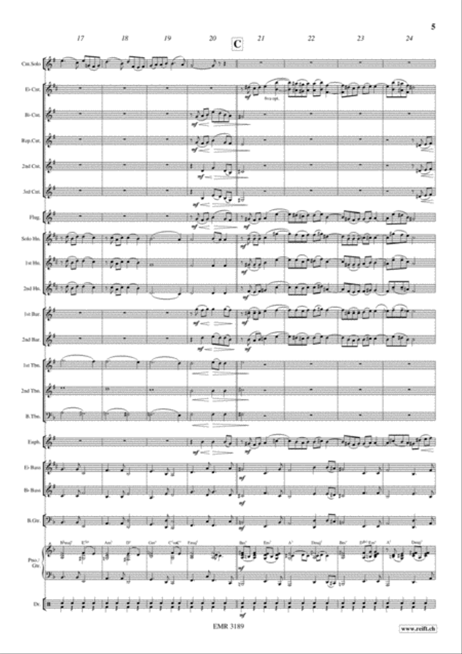 A Trumpeter's Pleasure A Trumpeter's Pleasure Brass Band scores gallery preview page 6