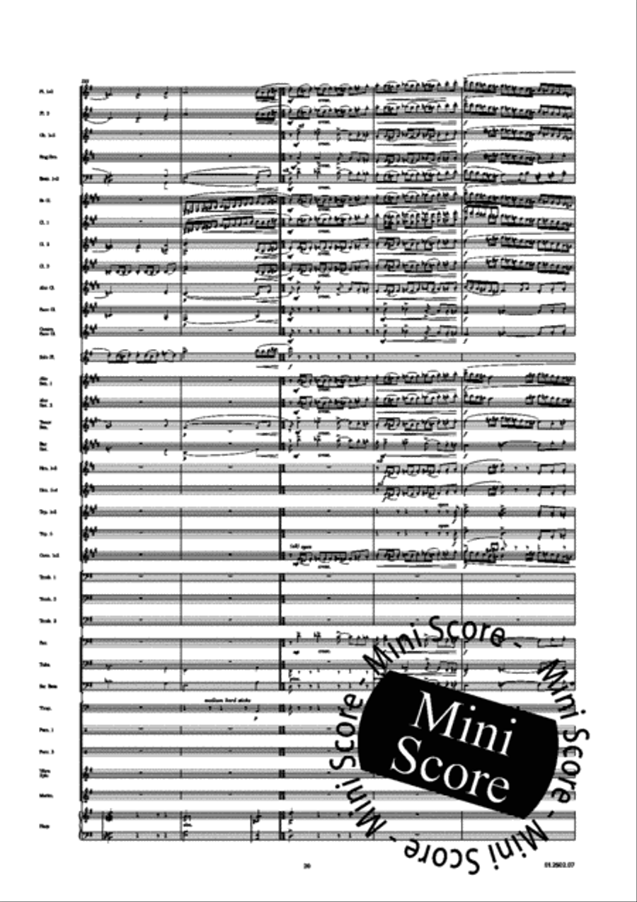 Divertimento for Flute Divertimento for Flute Concert Band scores gallery preview page 24