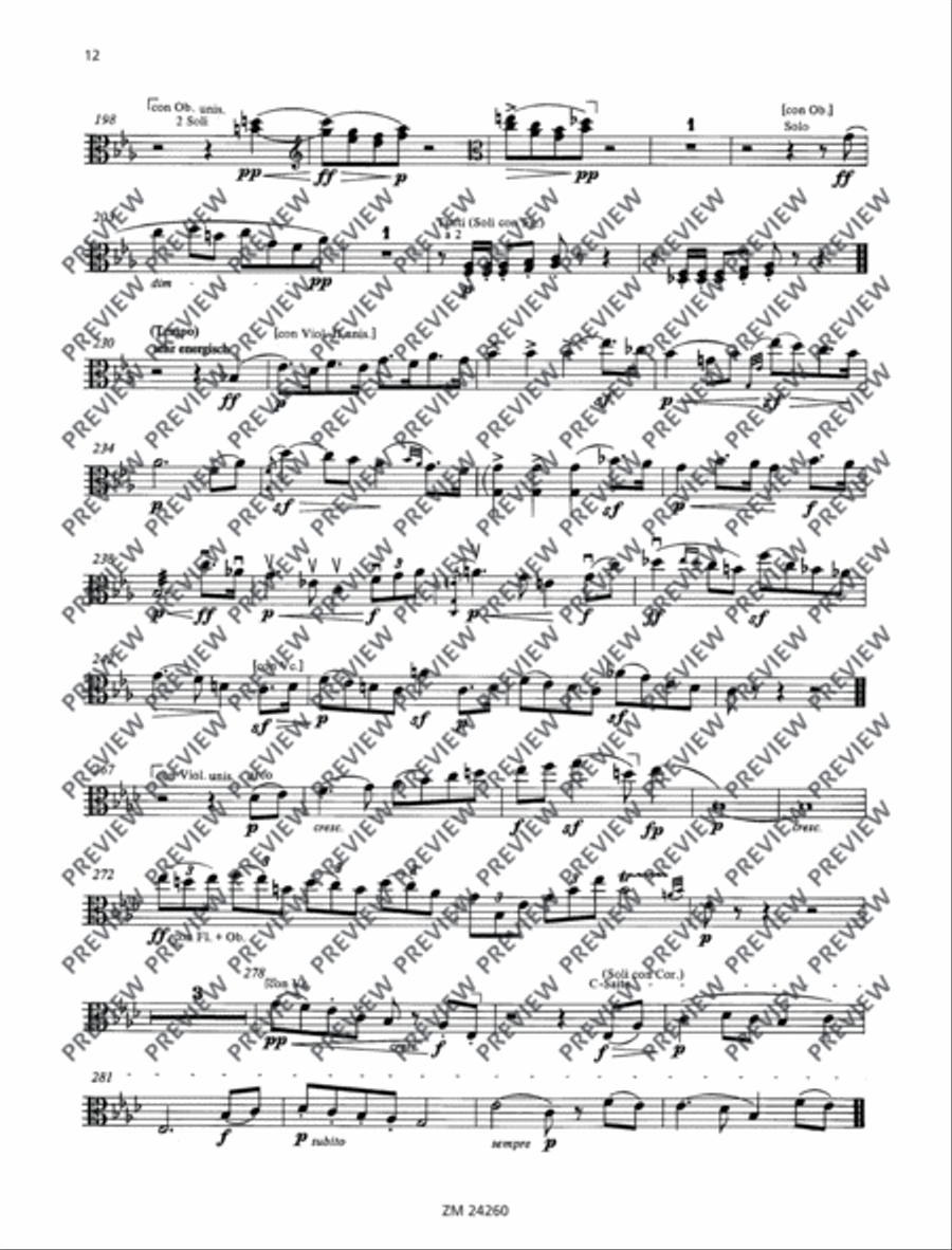 Orchestra Studies Score scores gallery preview page 13