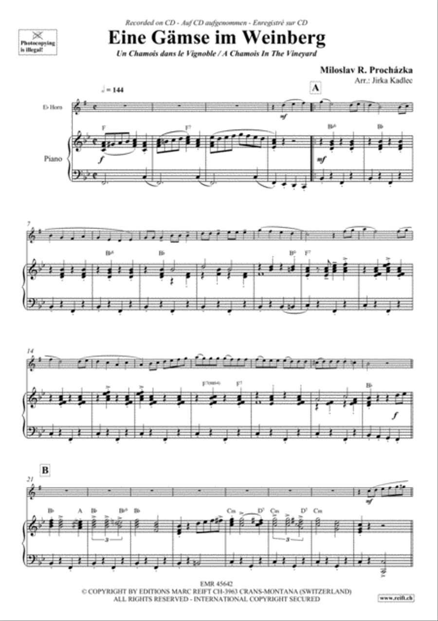 Eine Gamse im Weinberg Horn scores gallery preview page 4