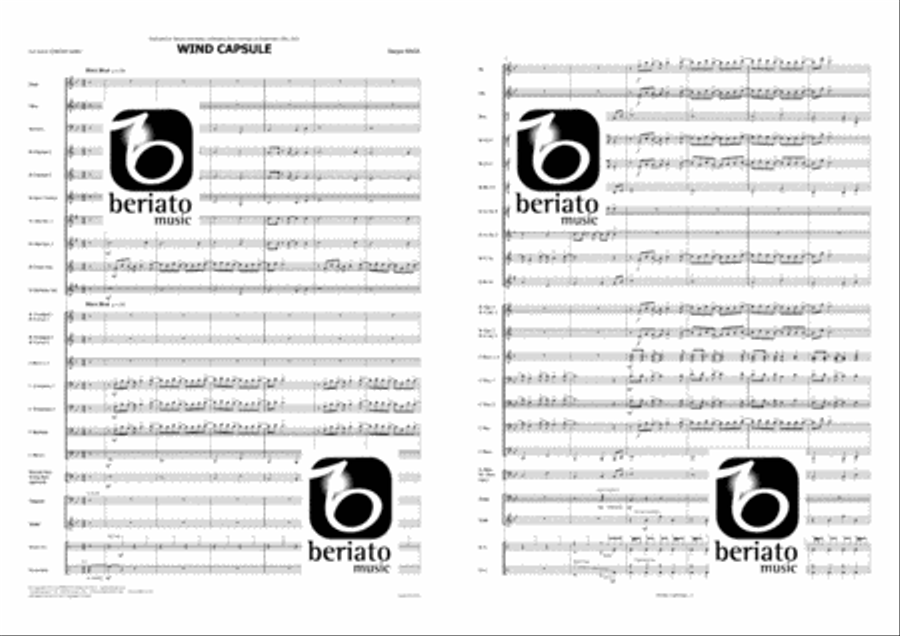 Wind Capsule Wind Capsule Concert Band scores gallery preview page 2