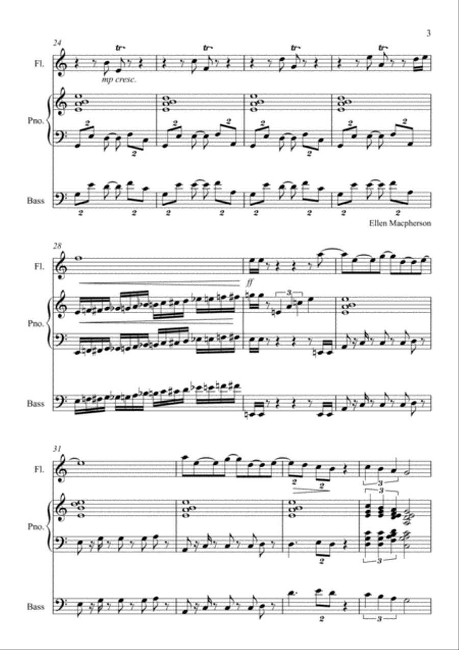 Skype Walk Trio for Beginner Flute, Piano and Bass Small Ensemble scores gallery preview page 3