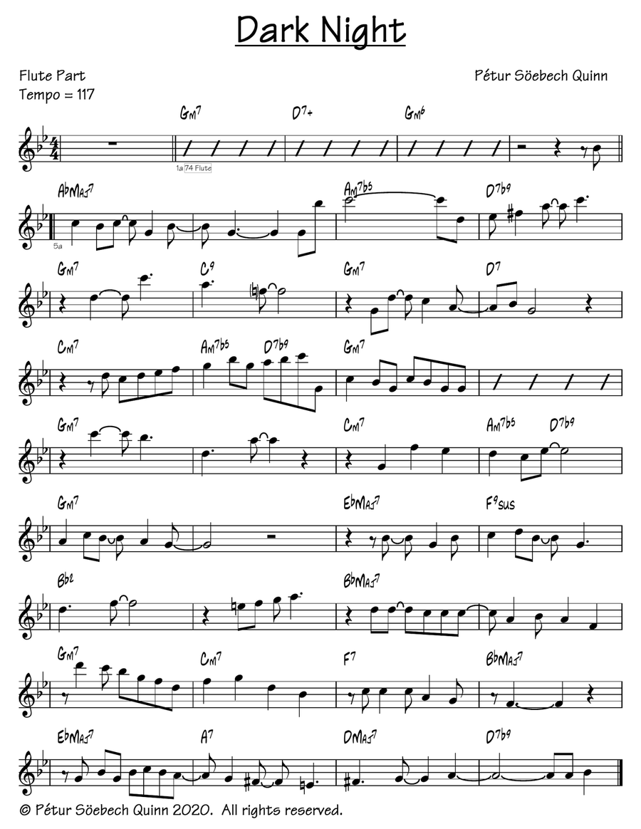 Dark Night (Flute part) Flute Solo scores gallery preview page 1