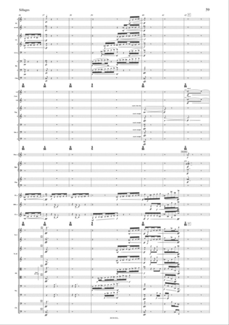 Sillages - Congruences II Orchestra scores gallery preview page 6