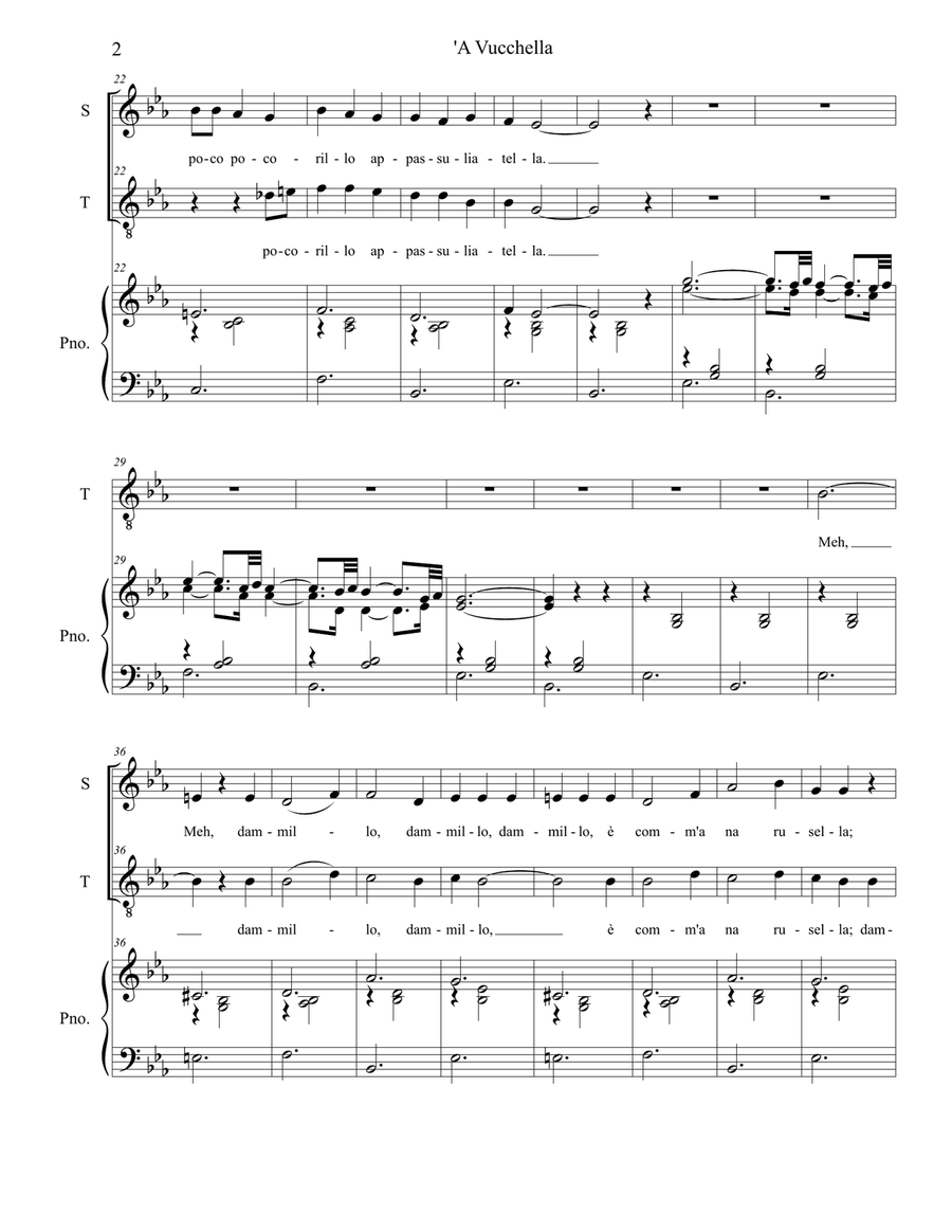 A Vucchella (Duet for Soprano and Tenor Solo) Tenor Voice scores gallery preview page 3