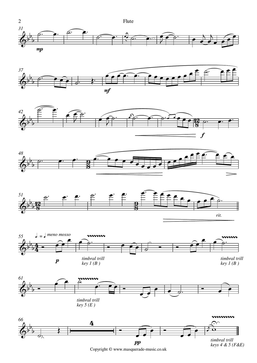 Celtic V for flute & piano (taken from Celtic Collage) - Free demo and backing tracks upon request ( Flute Solo scores gallery preview page 2