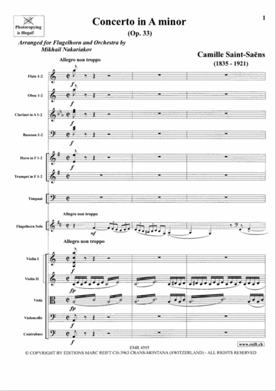 Concerto in A minor Orchestra scores gallery preview page 3