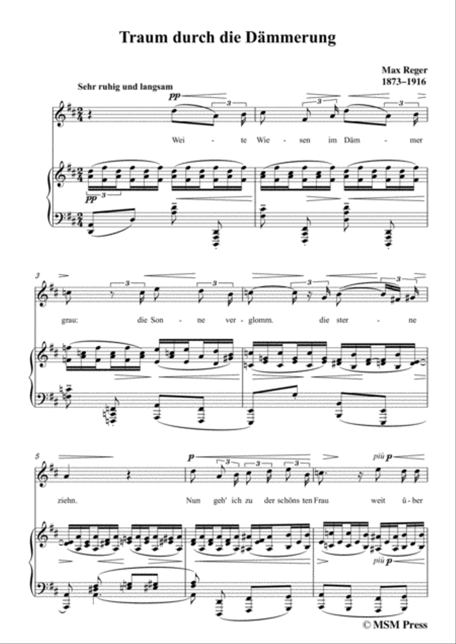 Reger-Traum durch die Dämmerung in D Major,for Voice and Piano Voice Solo scores gallery preview page 3