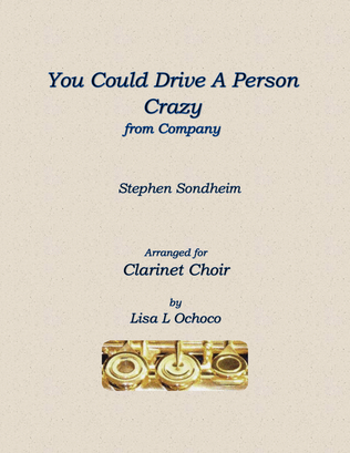 Book cover for You Could Drive A Person Crazy