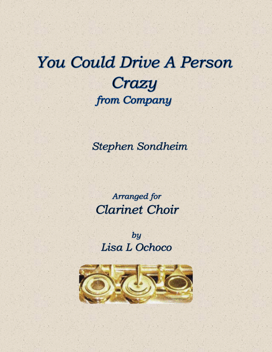 Book cover for You Could Drive A Person Crazy